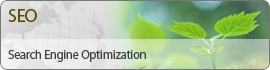 seo search engine optimization portland oregon